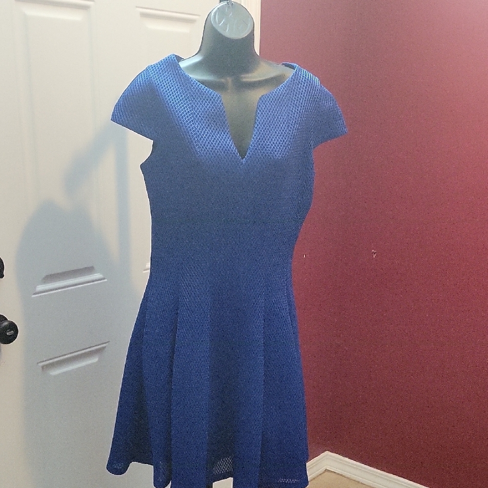 Elegant Blue Dress